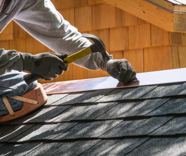 Best Roof Gutter Cleaning  in Chandler, TX